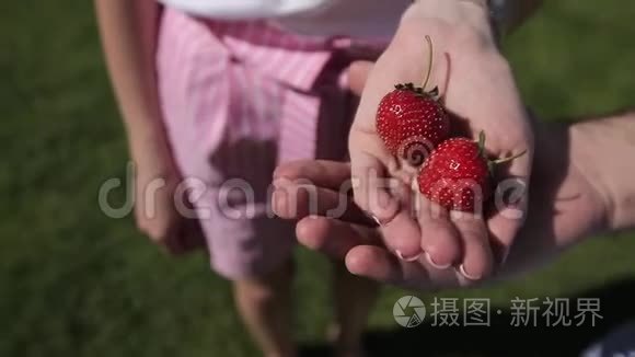 一个男人把草莓握在你的手掌里视频