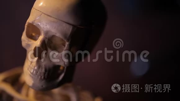 人体骨骼模型视频