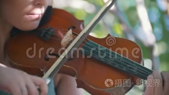 夏天在公园里拉小提琴的女孩嬉皮士画像