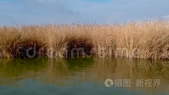 匈牙利的维伦西湖视频
