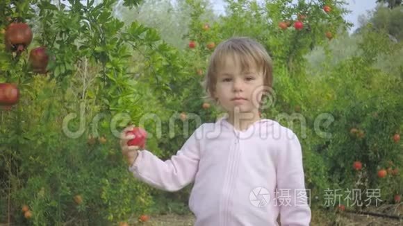 幼儿不能在花园里成熟石榴果实视频