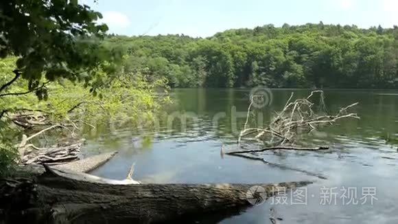 德国勃兰登堡托诺西湖的夏季山毛榉树。 博尔顿·梅勒·恩格尔的旅游目的地。 波顿磨坊。