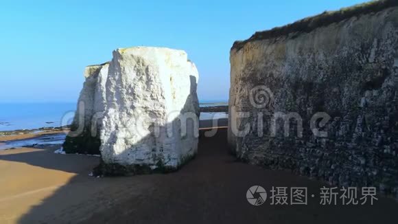 英格兰植物湾的白色悬崖和粉笔石