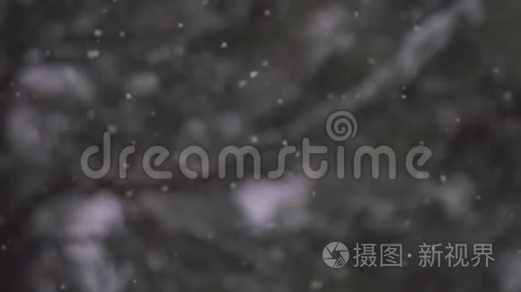 雪花缓慢落在树枝上的粒子背景视频