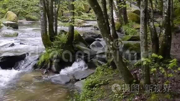 奥地利的艾斯特山谷夏天视频