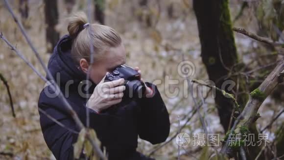 摄影师女孩走在秋木上，拍摄大自然的照片。 第一场雪。 电影镜头。 慢慢慢慢