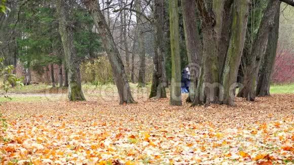 几个人用金叶呼吸公园里的空气视频