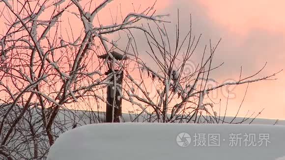 一个俄罗斯村庄冬天的生活视频