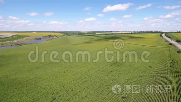 空中射击，一片有湖的绿野和一条汽车行驶的道路