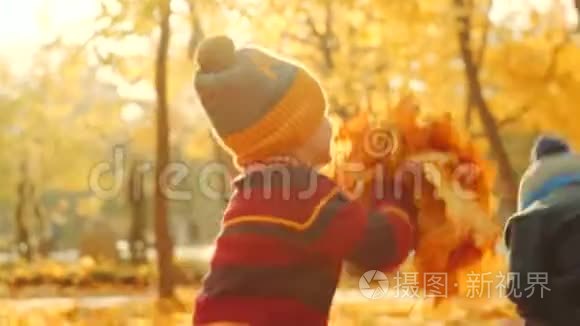 孩子们正在秋天公园玩落叶视频