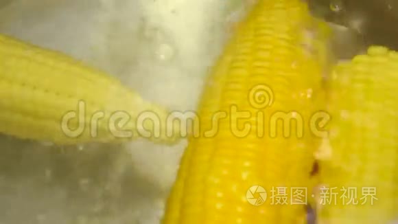 锅煮玉米视频