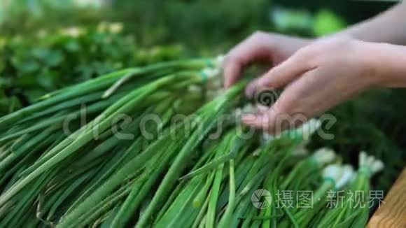 在超市里，女性手的特写选择绿色