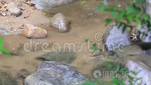 雨水和鱼在大自然中，瀑布在泰国北部。