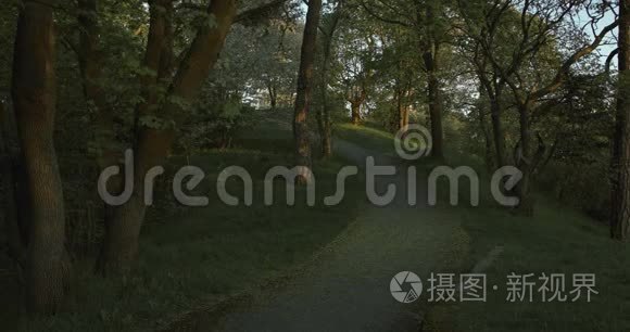 日落时分，通往小山的小径、树木和一条小沥青路。