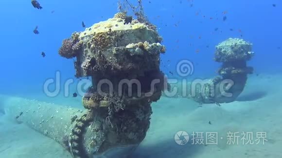 海底工业管道入口带鱼群