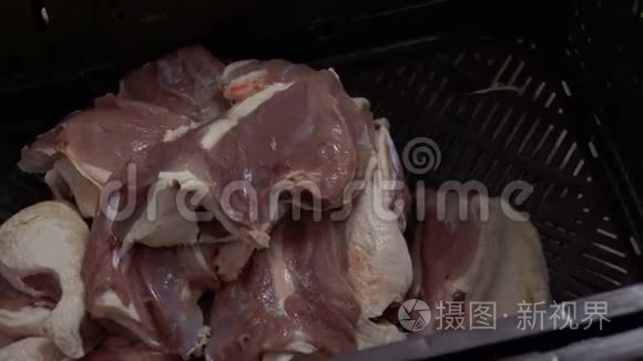 家禽养殖场鸭肉的制造视频