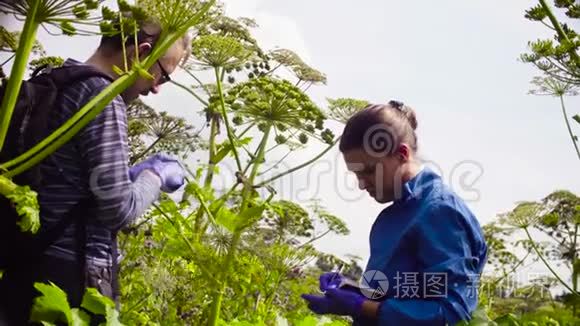 环保主义者男女检查植物