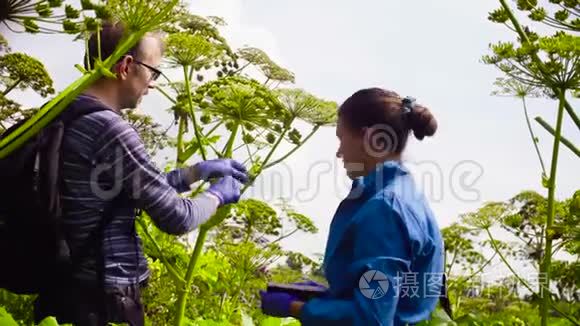 环保主义者男女检查植物视频