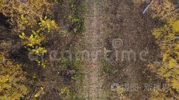 飞过穿过森林的铁路.. 秋天。 空中观景。 摄像机上升了。 4K