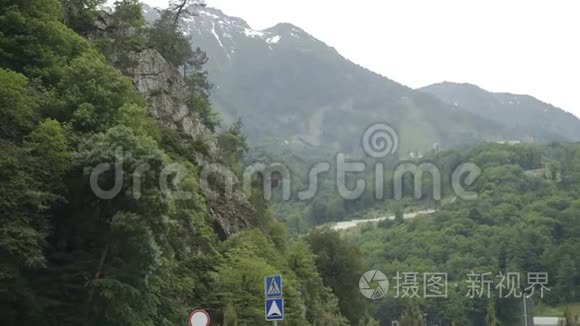 春天有雪山和森林的山景视频