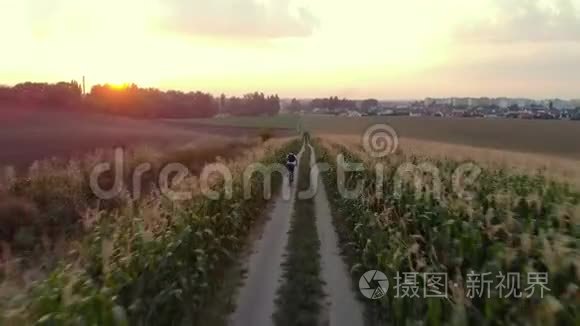 骑自行车的人在路上的田野，后景