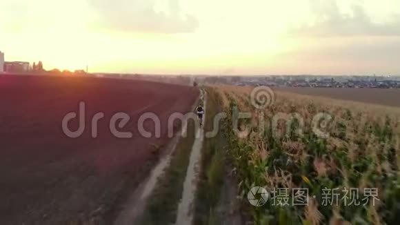 骑自行车的人在路上的田野，后景