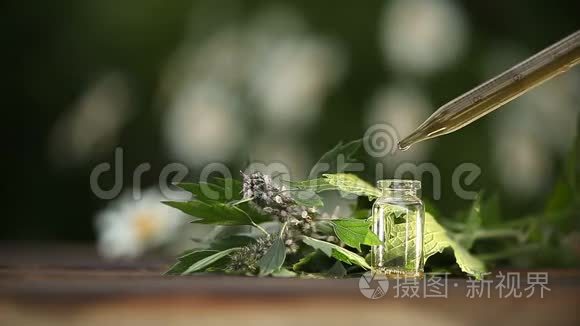 桌子上漂亮的瓶子里的麦汁精油视频