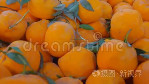 水果市场上多汁的成熟橘子视频