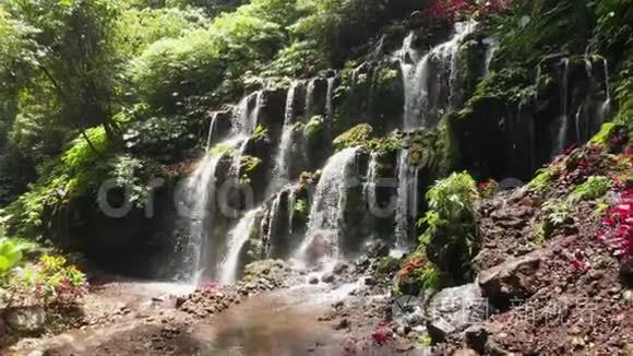 热带森林的瀑布。 印度尼西亚巴厘。 空中景观