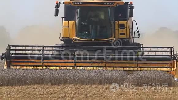收割机收割新的小麦