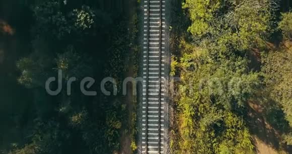 秋天森林中火车轨道的鸟瞰图。 挑战人生旅程，走向未来，追逐梦想的理念..视频的预览图