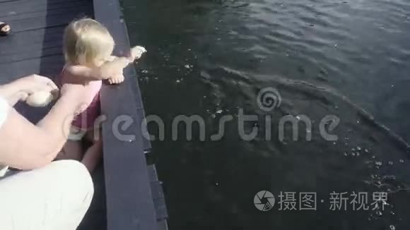孩子在池塘里喂鱼视频