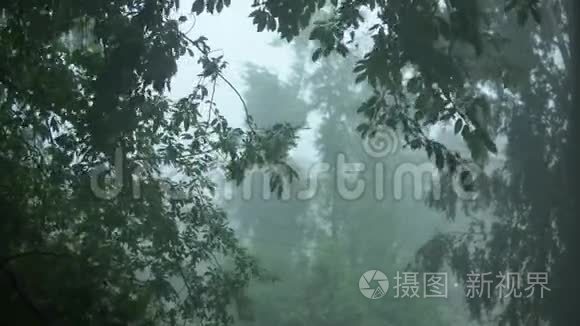 在暴雨中从窗户看到公园