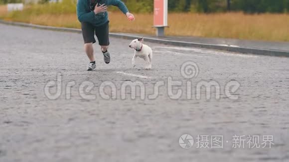 狗和主人一起跑视频
