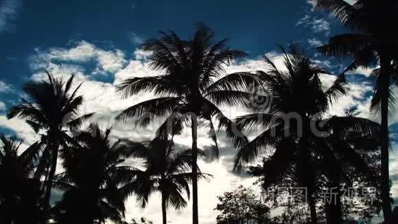 蓝天白云背景上棕榈树的剪影。 夏天海滩上的椰子棕榈树。