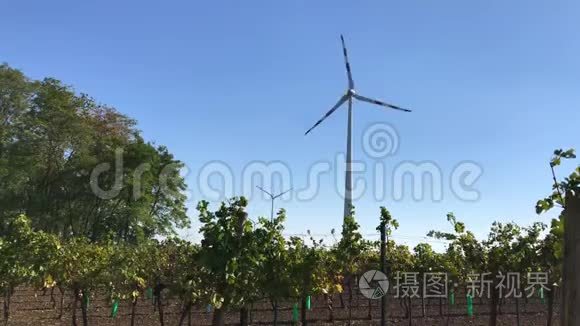 在葡萄园附近旋转风力涡轮机塔产生能量