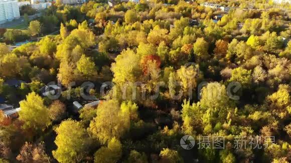 飞越俄罗斯莫斯科郊外的秋林视频