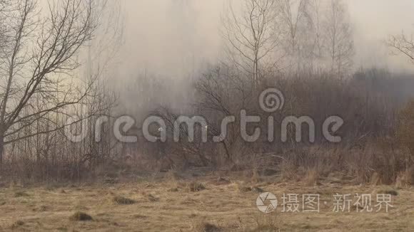 消防队员在火灾、春季、火灾危险期扑灭干草和燃烧的森林