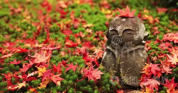 京都酒井区恩口寺顶上的红叶