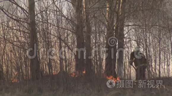 消防人员在火灾春季火灾危险背景时扑灭干草和燃烧森林