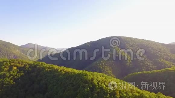 森林空中雄蜂晴空夕阳视频