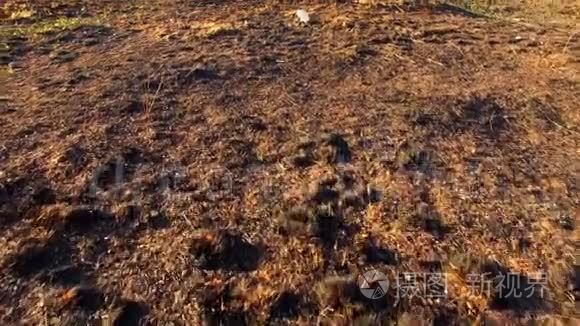 烈日下干燥干燥的大地视频