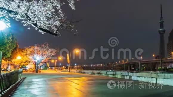 东京苏美达河樱花节的一夜一夜视频