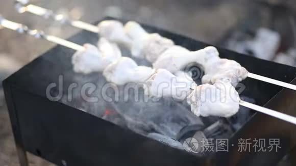 野餐烧烤用木炭的详情视频