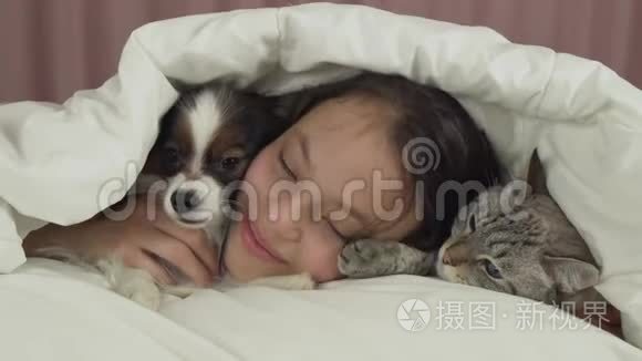 快乐少女与狗狗Papillon和泰猫在床上交流视频