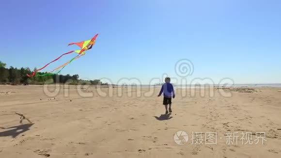 小男孩带着风筝在海滩上散步视频