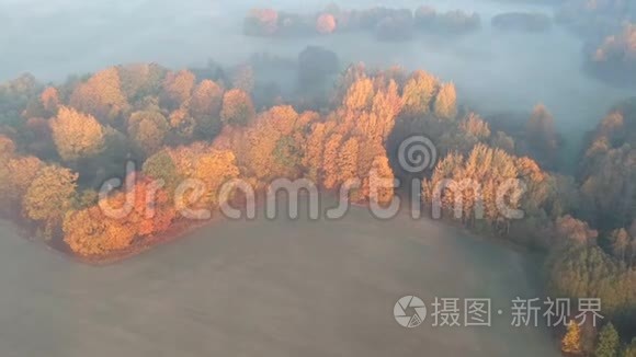 美丽的清晨，金色的秋景，雾霭缭绕