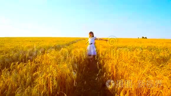 女孩带着小麦在田里转