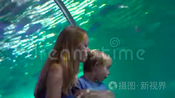 家庭参观海洋馆。 一个女人和她的儿子走在水族馆的管道里看鱼