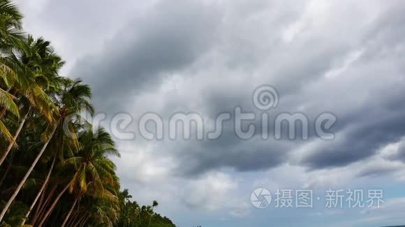 棕榈树上空的云视频